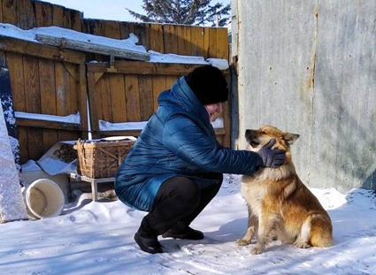  Собака